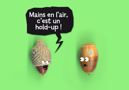 illustration de glands3