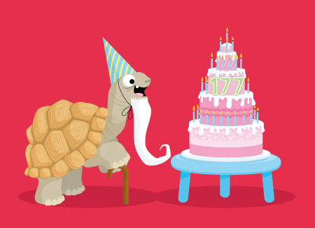 tortue-450 illustration de tortue 450