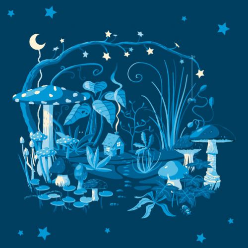 illustration-nuit-champignons