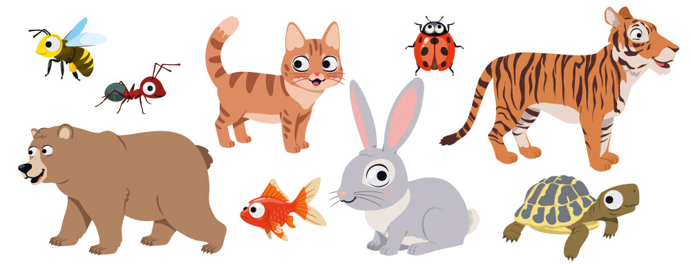 illustrations pédagogiques d'animaux sous forme de cabochons